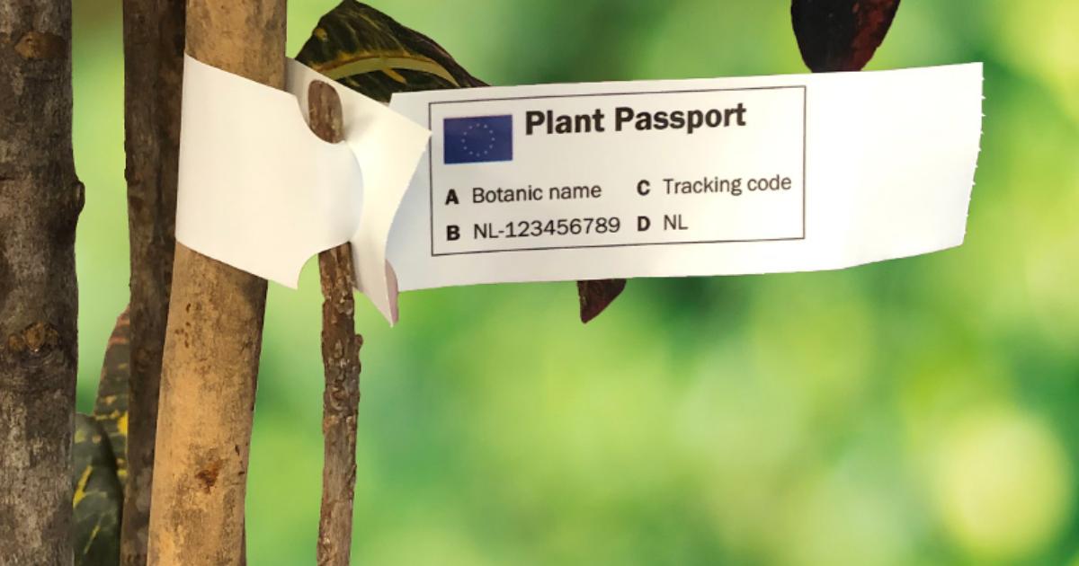 Letter: EU Plant Passports - Fleur Anderson MP