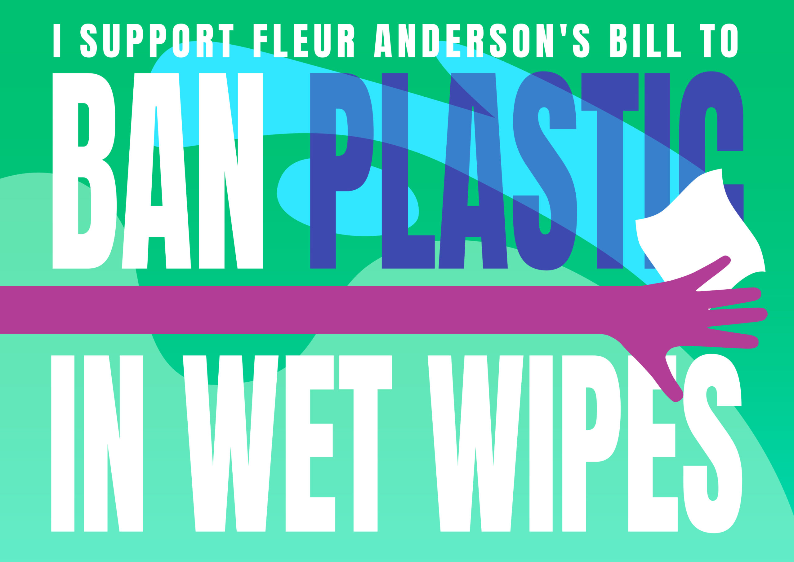 Ban Plastic in Wet Wipes