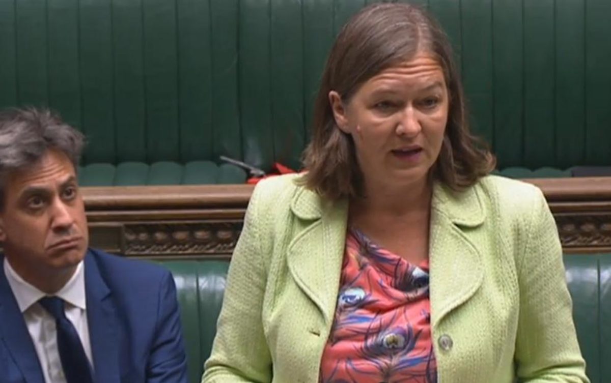 Fleur Anderson MP speaks in Parliament on the Government