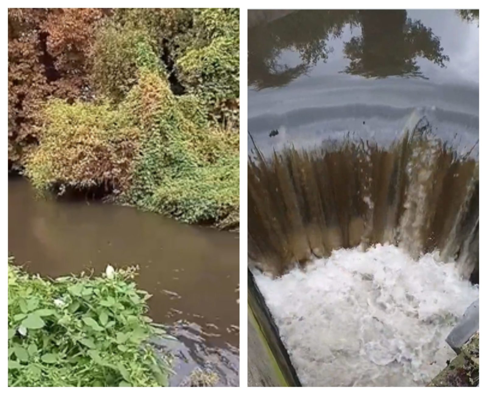 Images of pollution in the River Wandle - August 2022. 