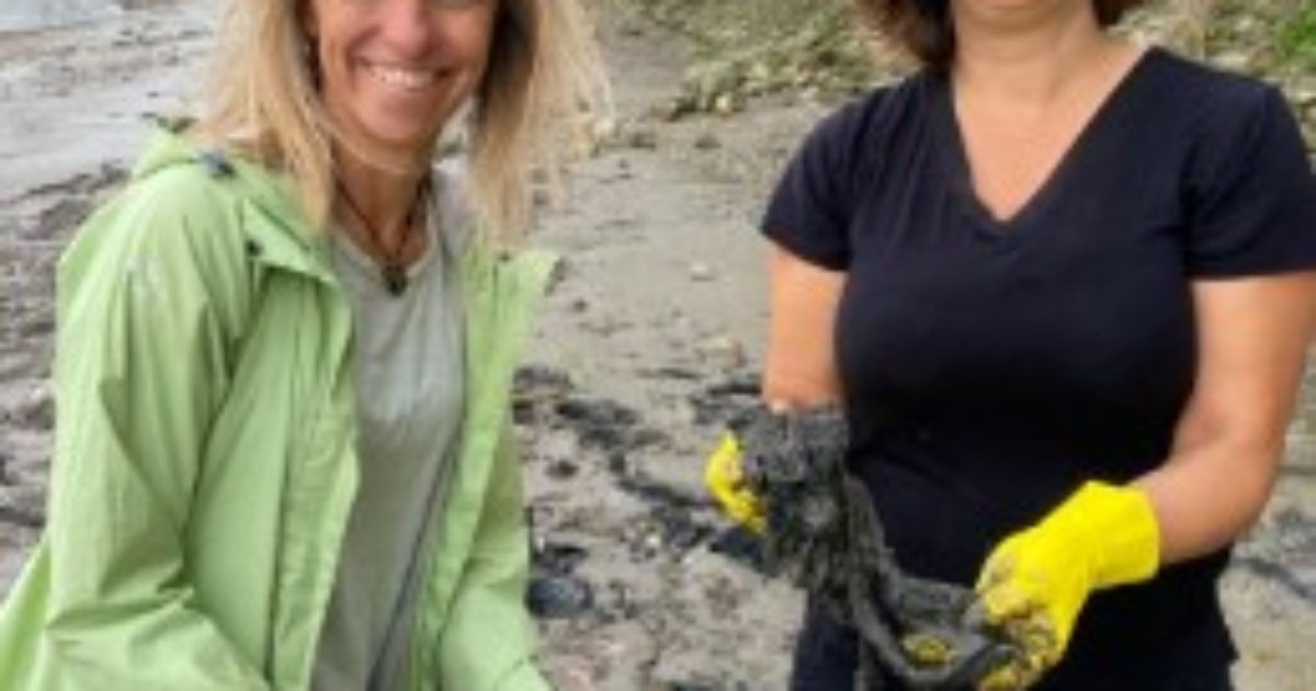 Climate Action Fleur Anderson MP